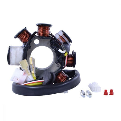 RMSTATOR RMS900-107508 100W AC to DC Conversion Kit with Stator and Regulator