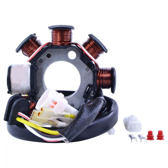 RMSTATOR RMS900-107508 100W AC to DC Conversion Kit with Stator and Regulator