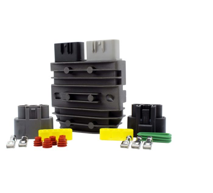 RMSTATOR RMS900-108893 250W DC Upgrade Kit with Stator and Series Regulator