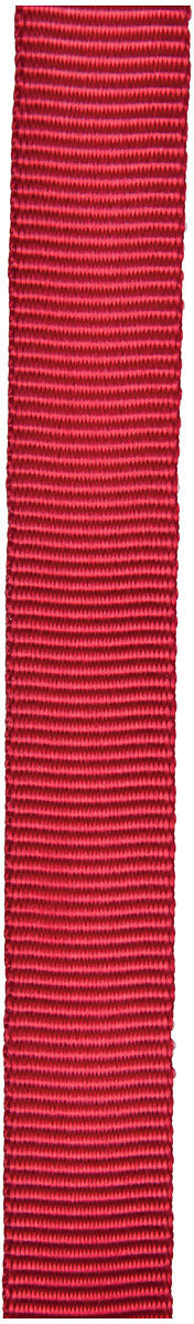 CYPHER 1 Inch x 300 Feet Red Tube Webbing