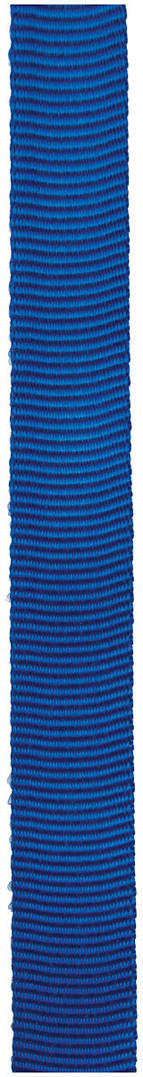 Cypher 1 inch x 300 feet Royal Tube Webbing