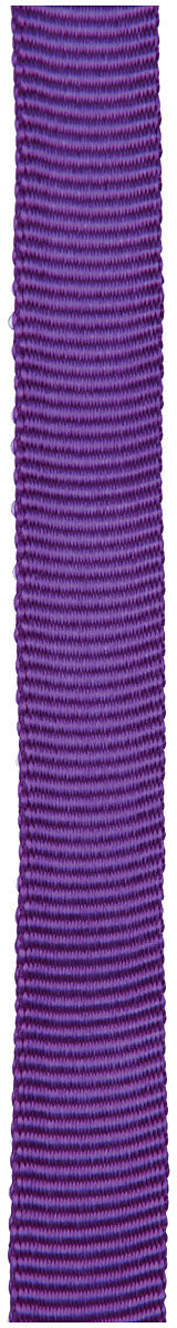 CYPHER 1-Inch x 300 Feet Purple Tube Webbing for Heavy-Duty Applications
