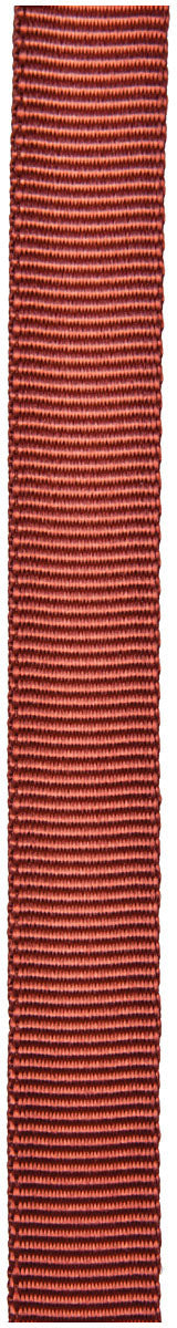 CYPHER 1-inch x 300 feet Rust Tube Webbing