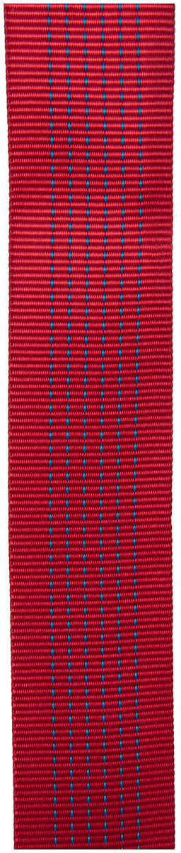 CYPHER 2-inch x 150-foot Red Tube Webbing