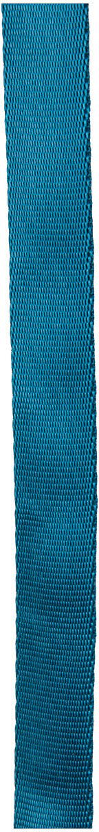 CYPHER 11/16" x 300' Teal Tube Webbing