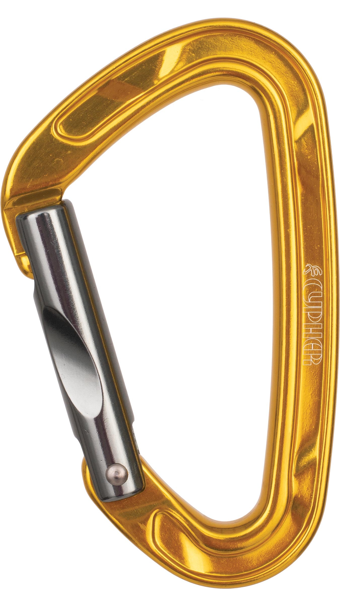 CYPHER Echo Straight Gate - Durable Heavy-Duty Gate for Secure Enclosures