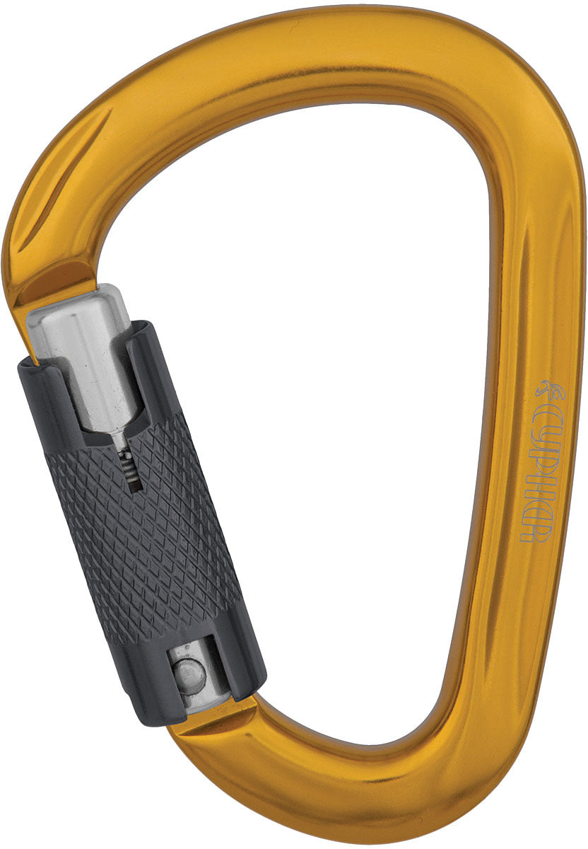 CYPHER Iris HMS 3 Al - High-Performance Home Security System