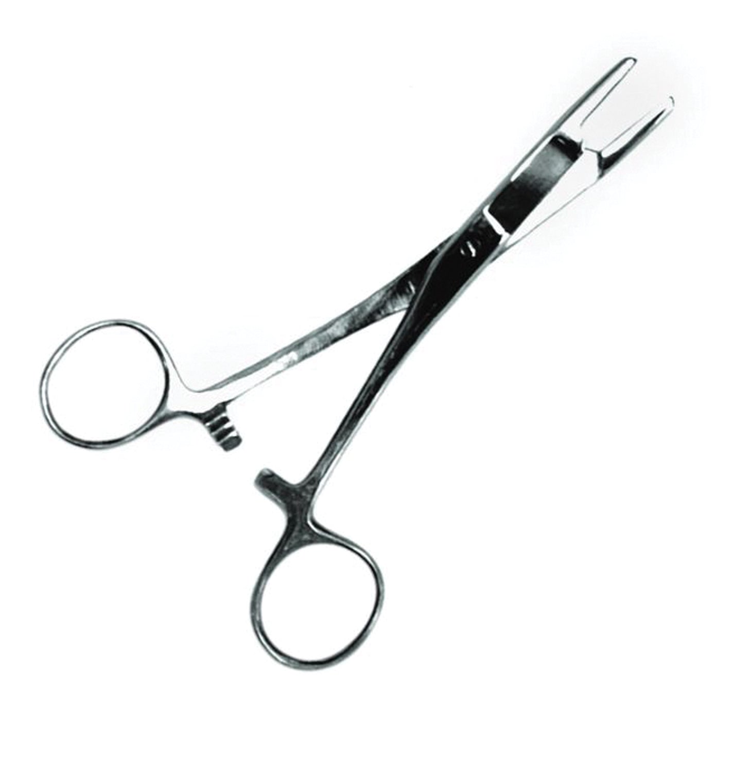 Eagle Claw 6-Inch Surgical Pliers with Scissors - Precision Fishing Tool