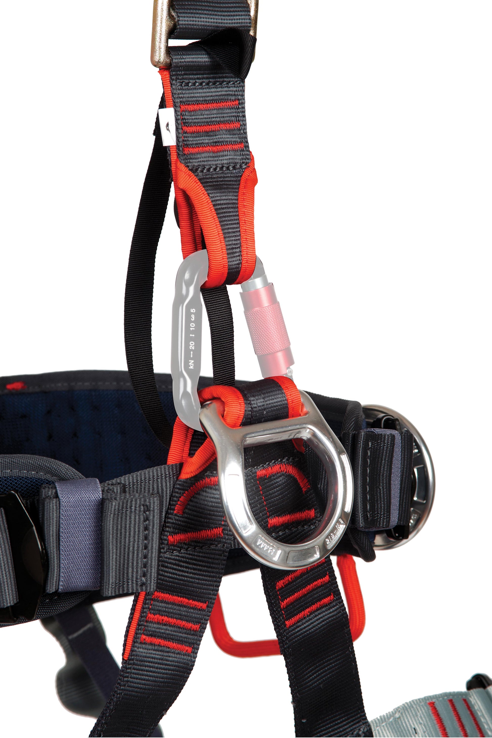 EDELWEISS Hercules Evo Full Body II S - Lightweight Outdoor Backpack