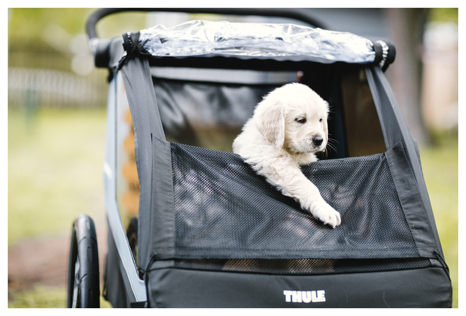 Thule Courier Pet Kit - Durable Carrier for Small Pets