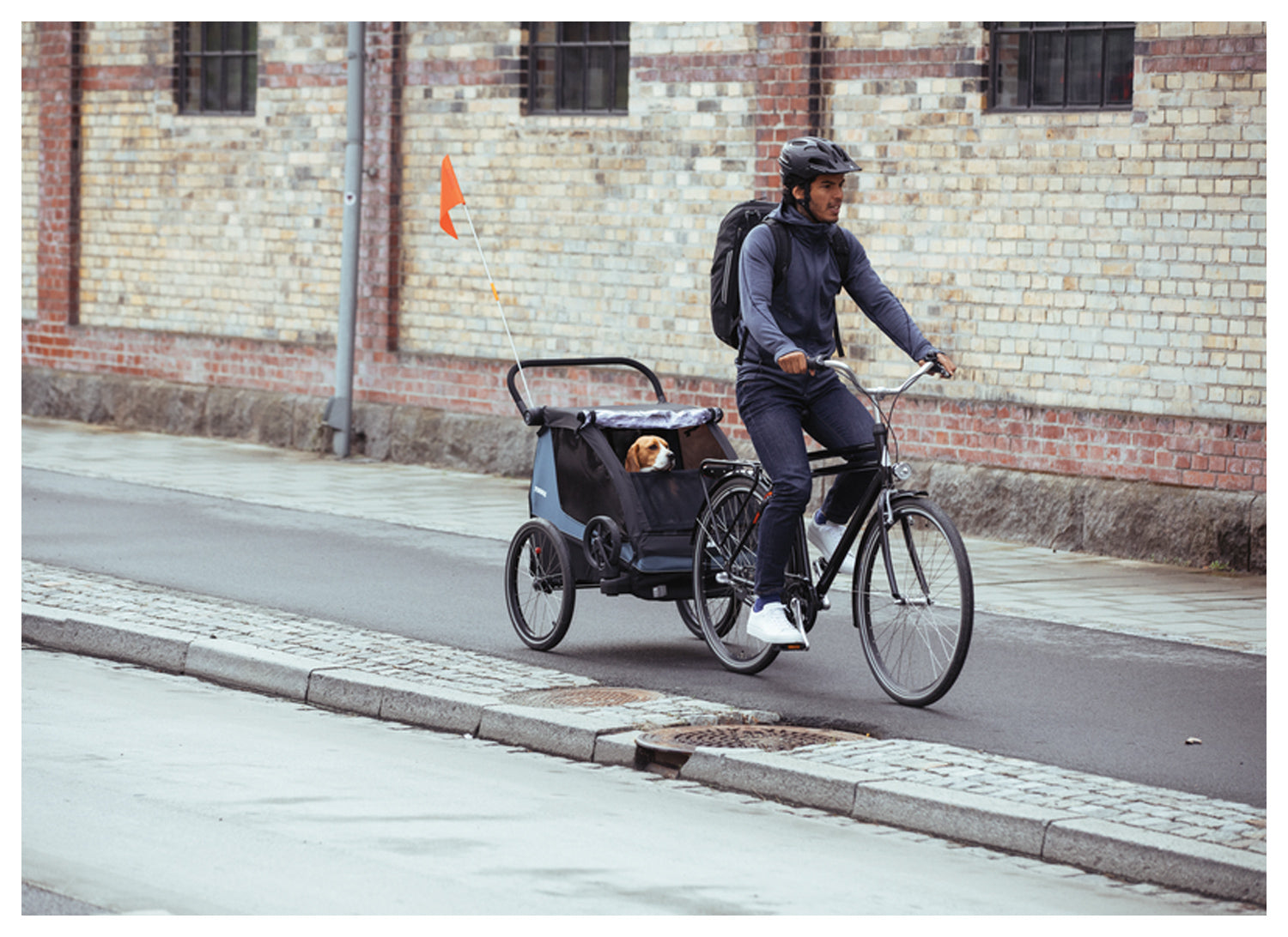Thule Courier Pet Kit - Durable Carrier for Small Pets
