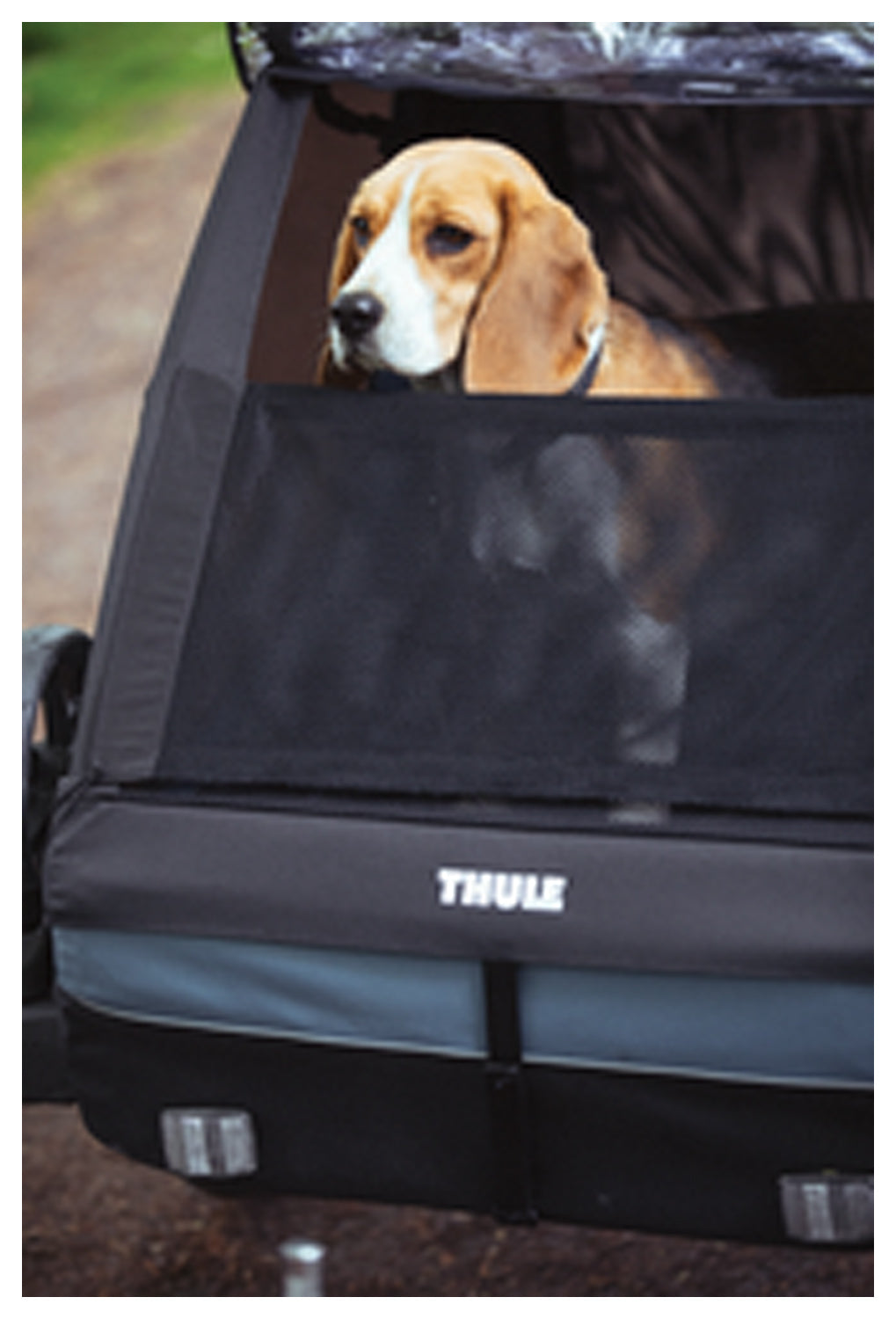 Thule Courier Pet Kit - Durable Carrier for Small Pets