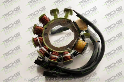 RICK'S Electric OE Style Snow Stator - Part Number 24-003