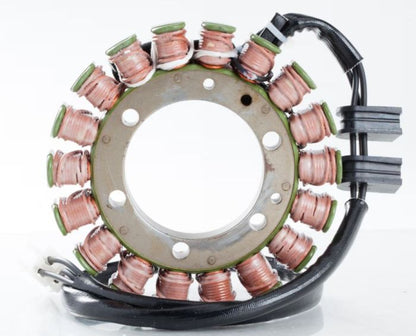 RICK'S OE Style Electric Stator Part 21-144 for Enhanced Performance