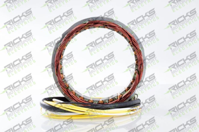 RICK'S Electric OE Style Stator Part 21-100 for Efficient Motor Performance