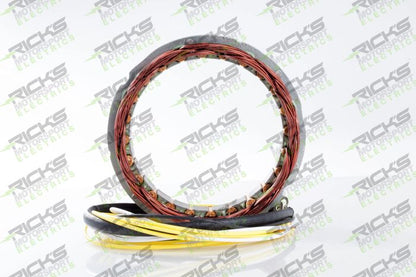 RICK'S Electric OE Style Stator Part 21-100 for Efficient Motor Performance