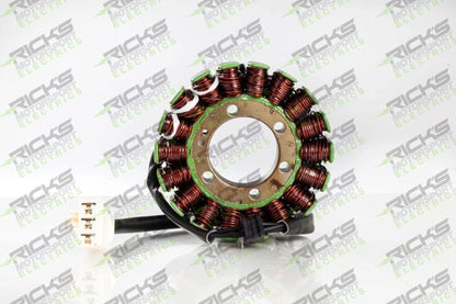RICK'S OE Style Electric Stator Part 21-110 for Enhanced Motor Performance