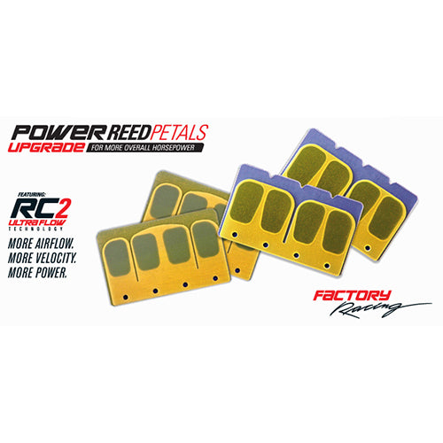 Boyesen 612 Offroad Power Reeds Set