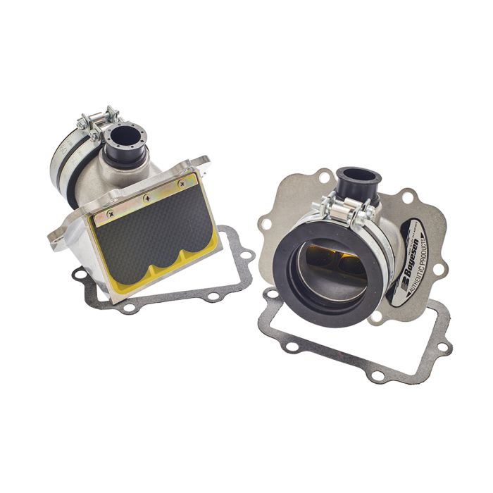BOYESEN RAD52B-2 Replacement Valve Set for Arctic Cat Vehicles