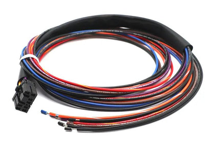 V-Twin Deutsch Wiring Connector for Tail Lamp with Wire Harness by V-Twin