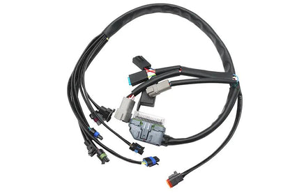 Namz Complete EFI Wiring Harness for Harley Davidson FLHT and FLT Models (Part NHD-70233-04A) by Namz