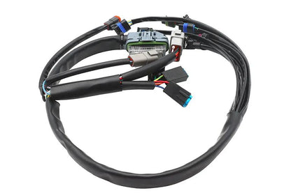 Namz Complete EFI Wiring Harness for Harley Davidson FLHT and FLT Models (Part NHD-70233-04A) by Namz