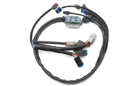 Namz Complete EFI Wiring Harness for Harley Davidson FLHT and FLT Models (Part NHD-70233-04A) by Namz
