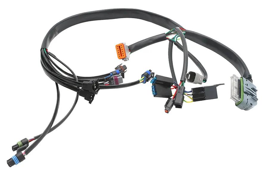 Namz Complete EFI Harness for Harley Davidson Models - Part NHD-70233-02 by Namz