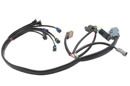 Namz Complete EFI Harness for Harley Davidson Models - Part NHD-70233-02 by Namz