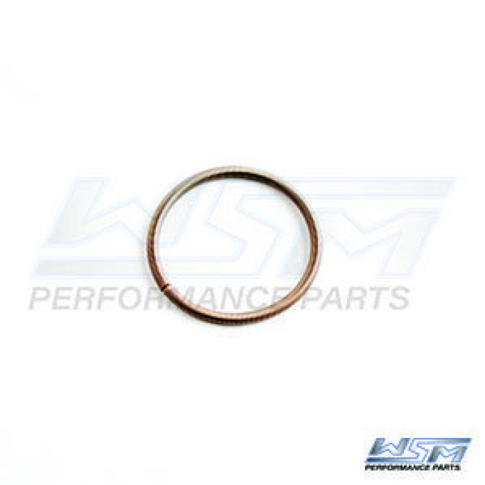WSM SD Power Valve Boot Spring Small - Part Number 010-495-07