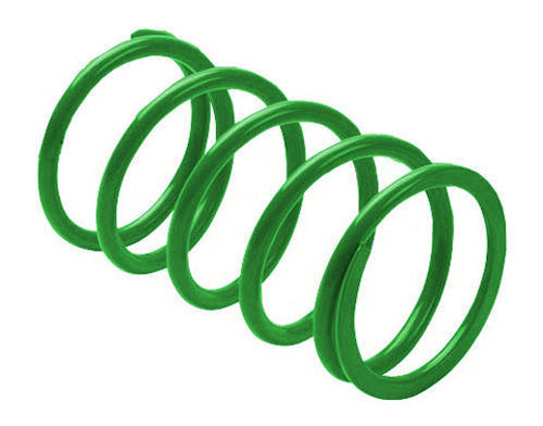 EPI PERFORMANCE Erlandson Clutch Spring, Green – Part Number KSS9