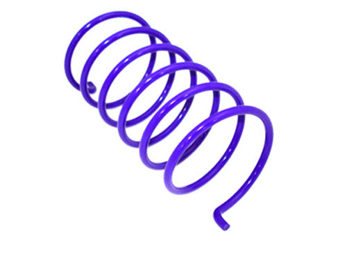 EPI Performance PatV4 Purple Clutch Spring for Enhanced Vehicle Performance