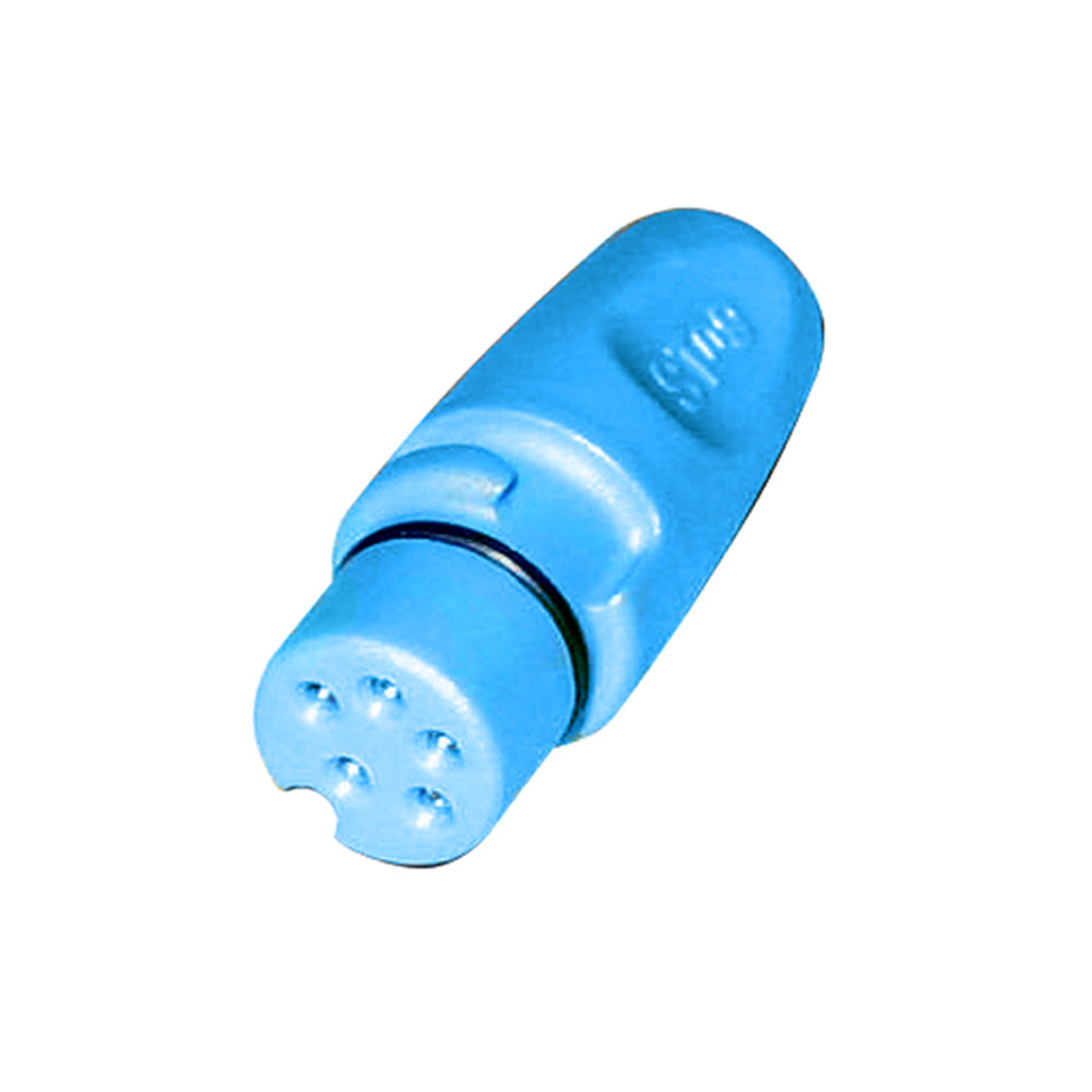 Raymarine SeaTalkng Backbone Terminator A06031 for Marine Networking