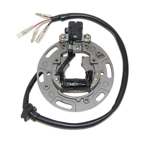 ElectroSport Stator for Kawasaki KX80/100 (1991-1997) – Part ESC1361