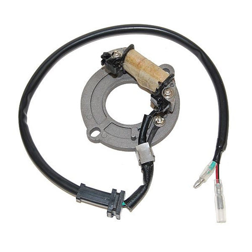 ElectroSport Stator for Honda CR80 by ElectroSport Part ESC1631