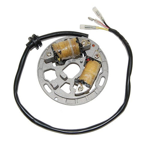 ElectroSport Lighting Stator for Kawasaki KDX200 (Part ESL225)