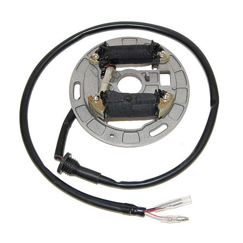 ElectroSport Lighting Stator for Suzuki LT80 (1987-2006) - Part ESL312