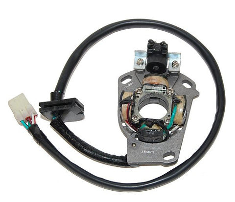 ElectroSport Stator for Yamaha YZ125 (2005 and Newer) - Part ESC397