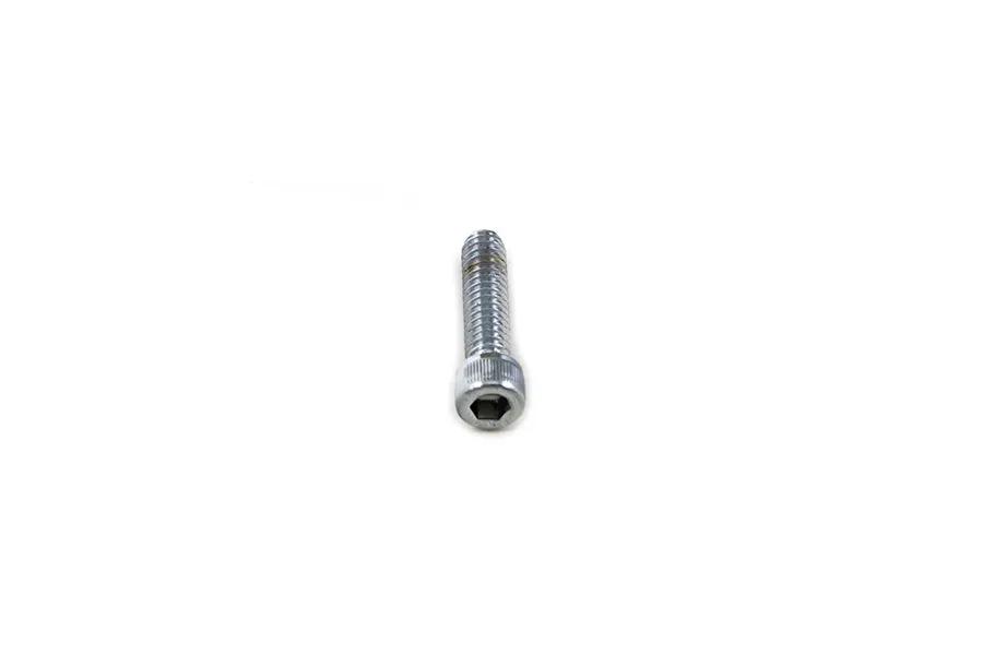 V-Twin Allen Socket Cap Bolt Knurled Chrome 1/4 inch x 1 inch, Coarse Thread by V-Twin