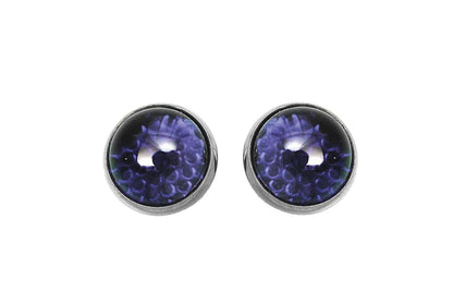 V-Twin License Plate Frame Reflectors with Blue Glass for Improved Visibility by V-Twin