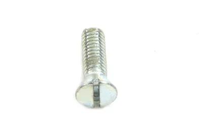 V-Twin Transmission Bearing Retainer Screws Zinc – Pack of 10 for Harley Davidson EL and UL Models by V-Twin