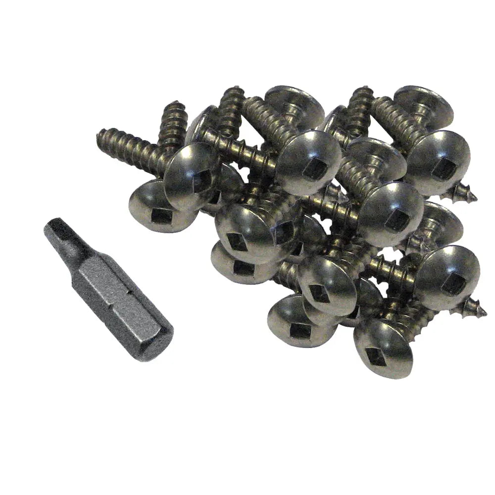 Dock Edge Stainless Steel Profile Fasteners 1 inch, 100 pcs with Robertson Driver Bit
