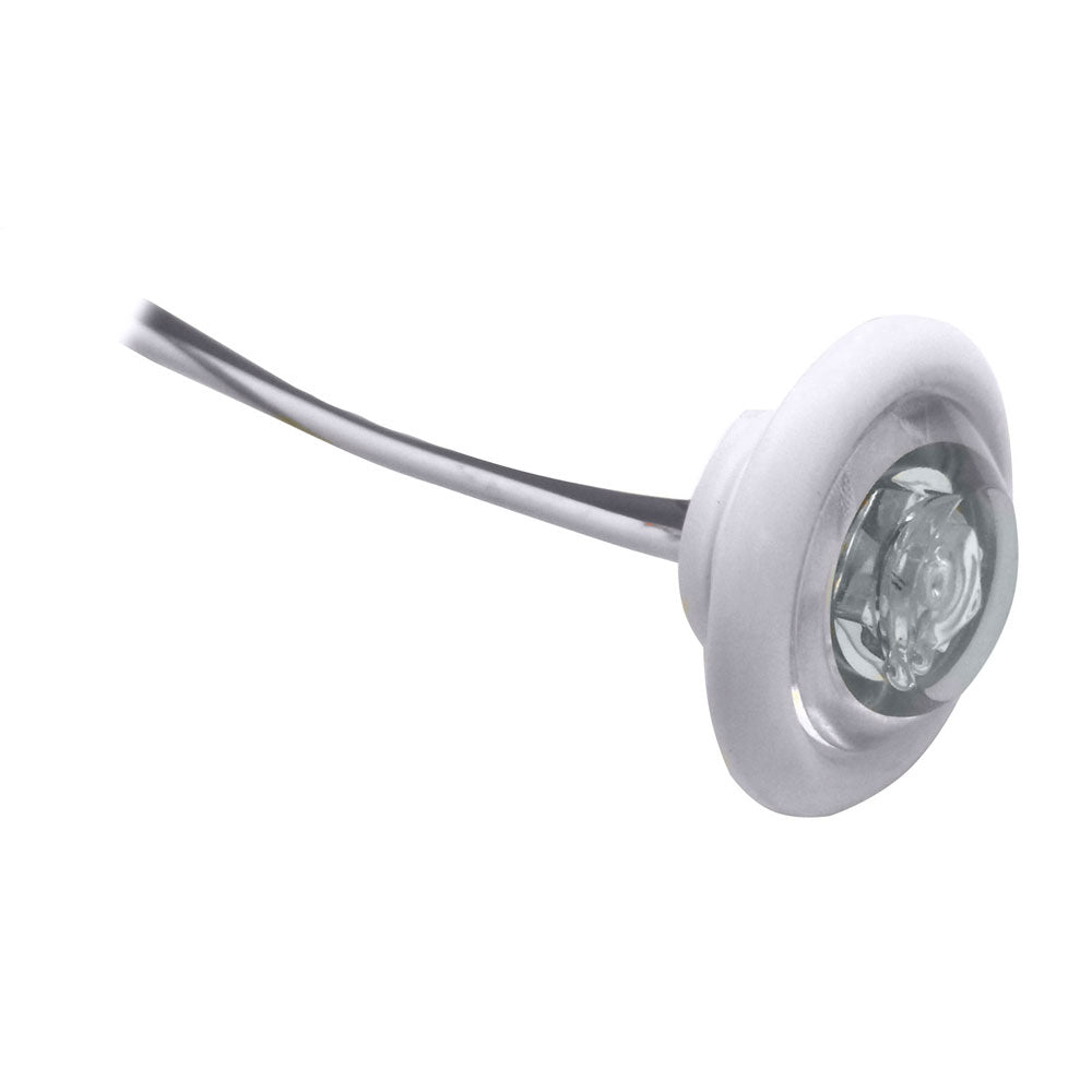 Innovative Lighting LED Bulkhead and Livewell Light "The Shortie" with White Grommet