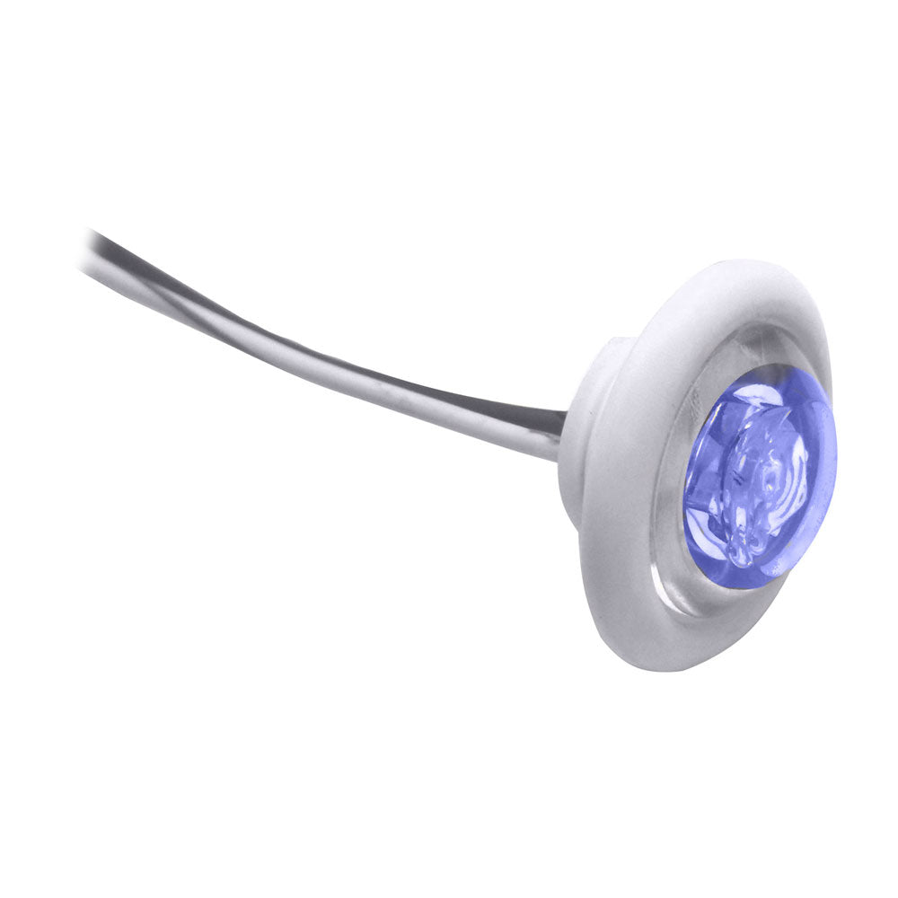 Innovative Lighting LED Bulkhead and Livewell Light "The Shortie" with Blue LED and White Grommet