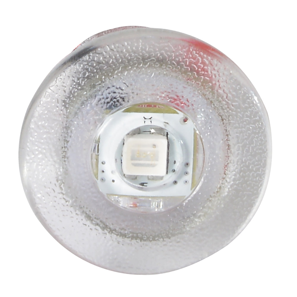 Lumitec Newt Livewell and Courtesy Light - Red Dimming