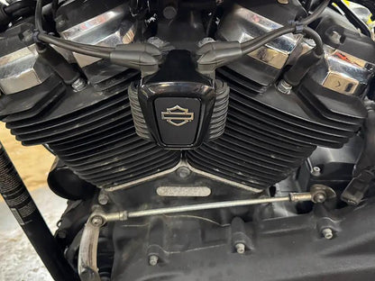 OE M8 Logo Coil Cover for Harley Davidson FXST and FLST Models by OE