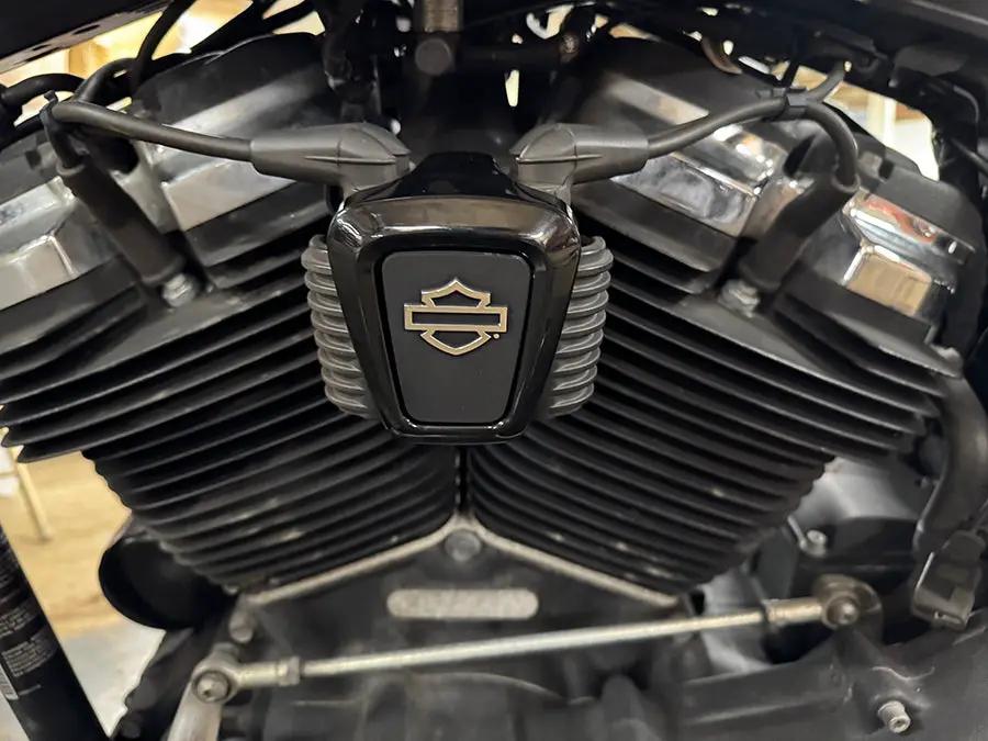 OE M8 Logo Coil Cover for Harley Davidson FXST and FLST Models by OE