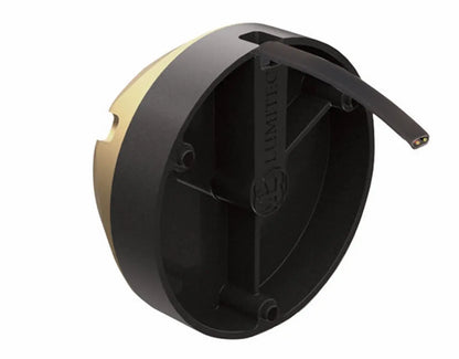 Lumitec Zambezi X2 Dual Color Blue/White FOR PONTOON BOATS Bronze Housing 12/24v LED