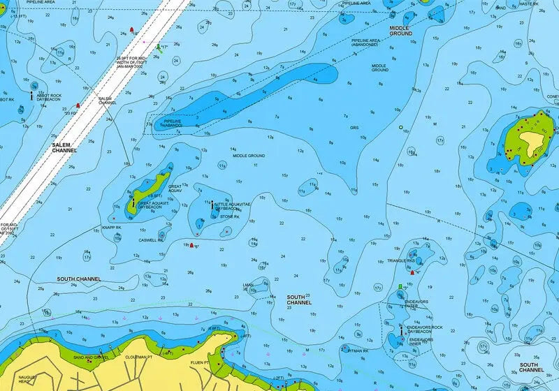 Navionics Plus NAUS007R U.S. East microSD