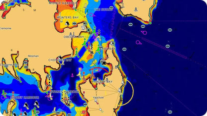 C-MAP Reveal X Coastal Great Lakes microSD